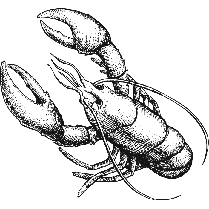 Lobster
